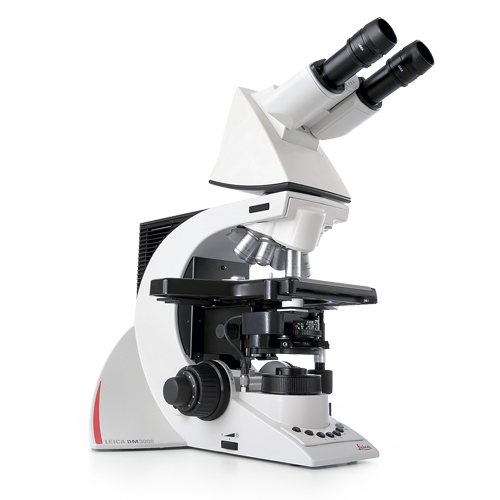 Микроскоп биологический Leica DM3000 для морфологических исследований